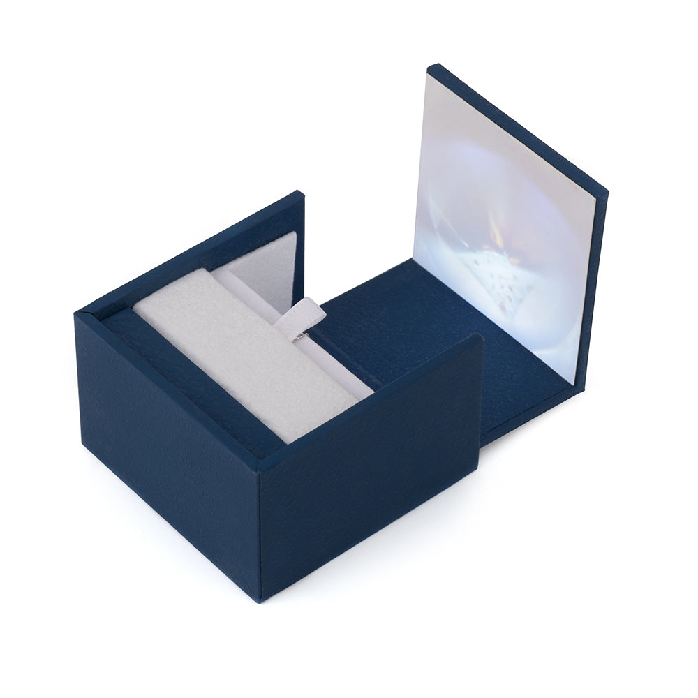 LB50 Series Projection Boxes