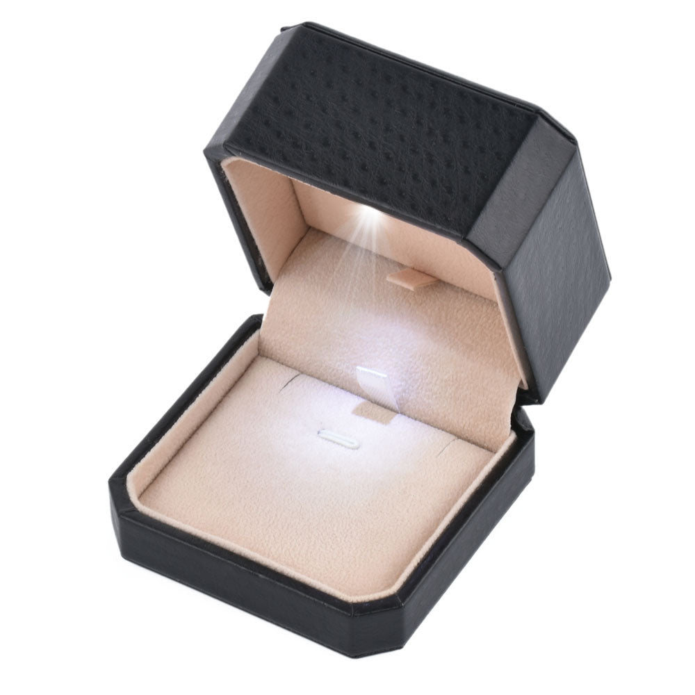 12PCS (LB04P-BK) Black LED Light Pendant boxes