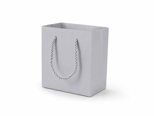 Silver small square paper gift tote bag with rope handles, 24 pack