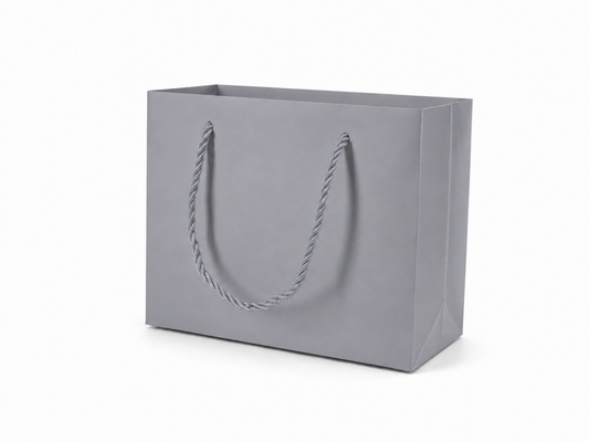 Silver medium landscape paper gift tote bag with rope handles, 24 pack